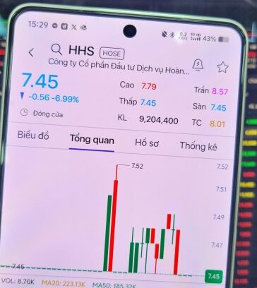 Cổ phiếu HHS giảm kịch sàn sau phiên 14/10, còn TCH mất hơn 6%. Ảnh: Minh Sơn