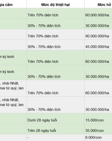Hà Nội dự kiến chi gần 4 tỷ đồng hỗ trợ người trồng đào Nhật Tân