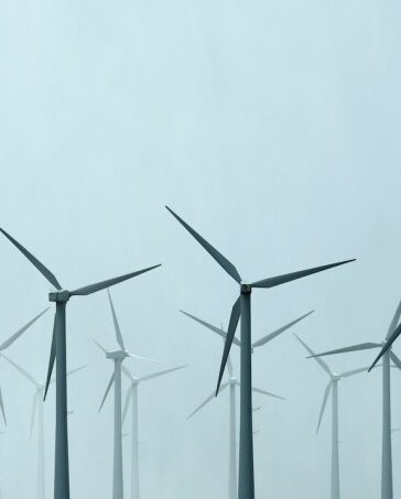 Các turbine gió tại Palm Springs, California (Mỹ). Ảnh: Reuters
