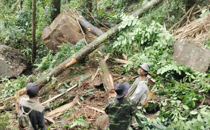 Những hòn đá mồ côi nặng hàng chục tấn trên đỉnh núi lăn xuống gặp cây cối cẳn lại. Ảnh: Sơn Thủy