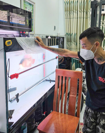 Anh Hà Nguyên Hoàng đánh giá tình trạng bệnh của cá rồng trước khi chữa trị. Ảnh: Bùi Toàn