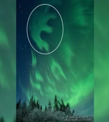Hiện tượng phản cực quang tạo ra chữ E lơ lửng trên bầu trời Alaska. Ảnh: Todd Salat